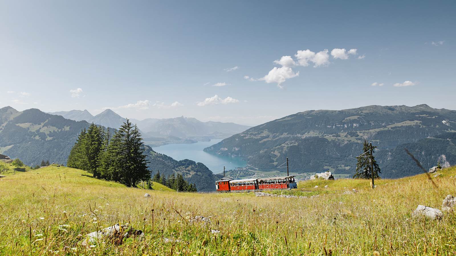Ticket Schynige Platte-Bahn