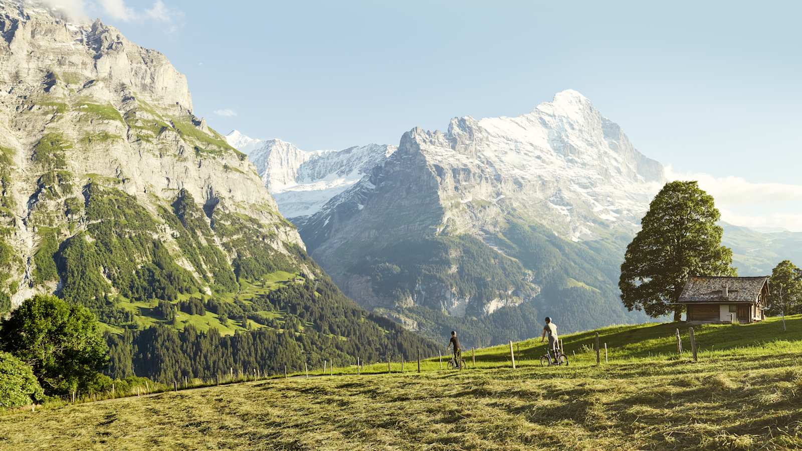 First Trottibike: Downhill nach Grindelwald