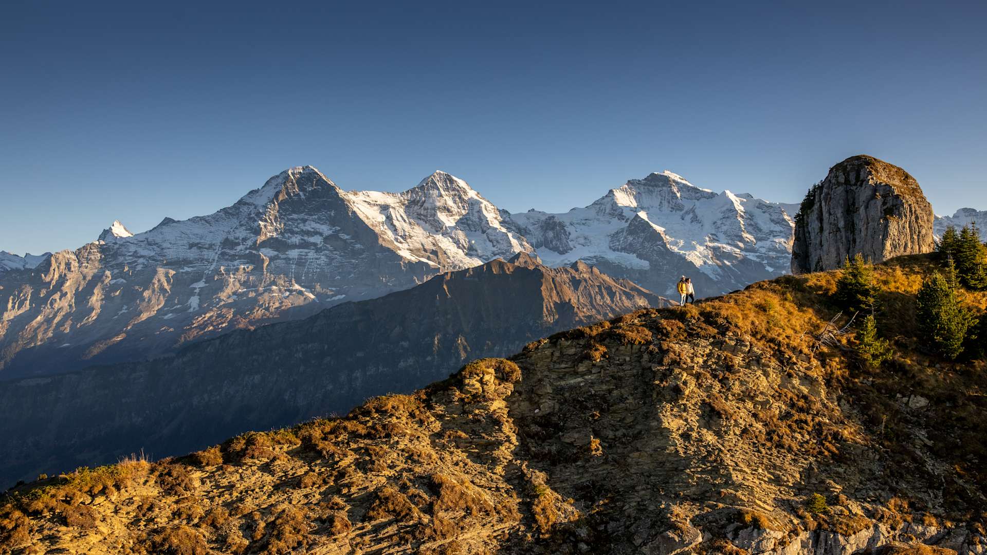 Panoramaweg Schynige Platte