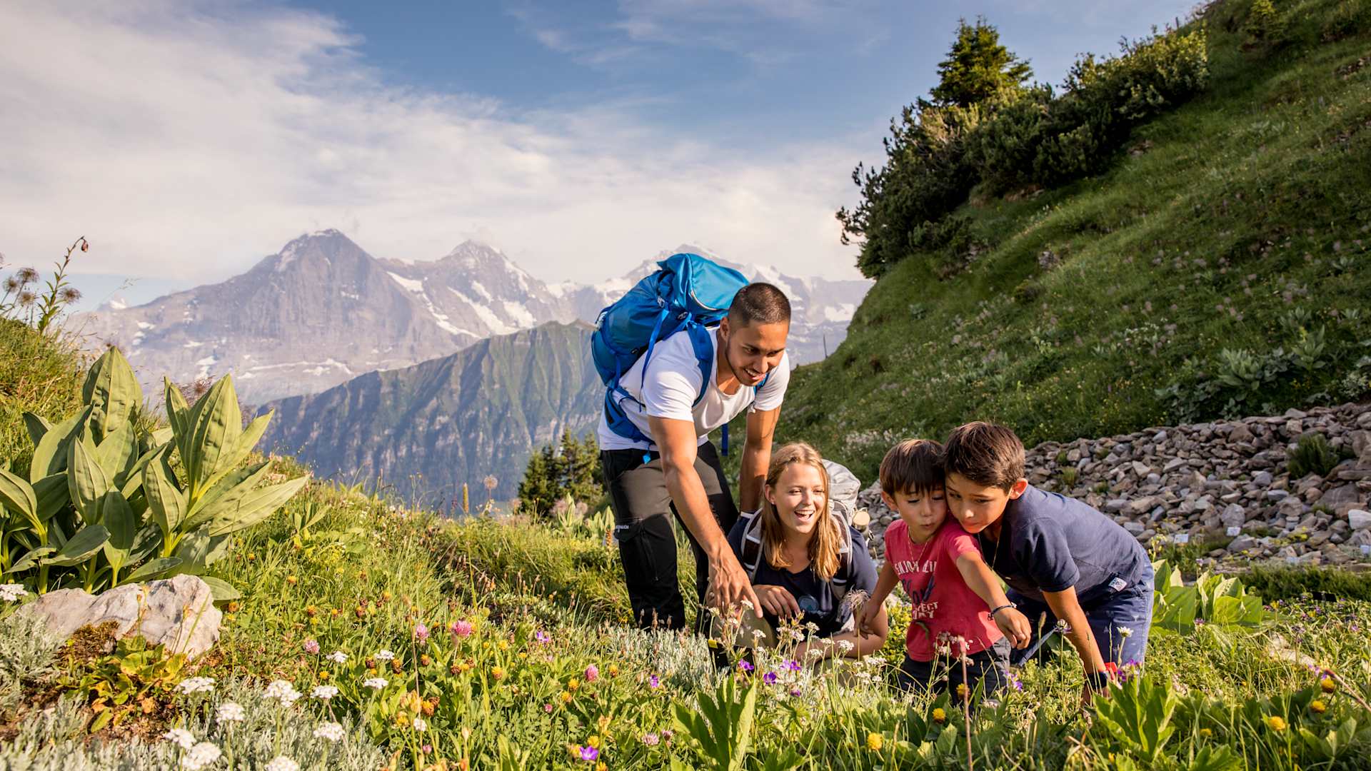 Botanischer Alpengarten