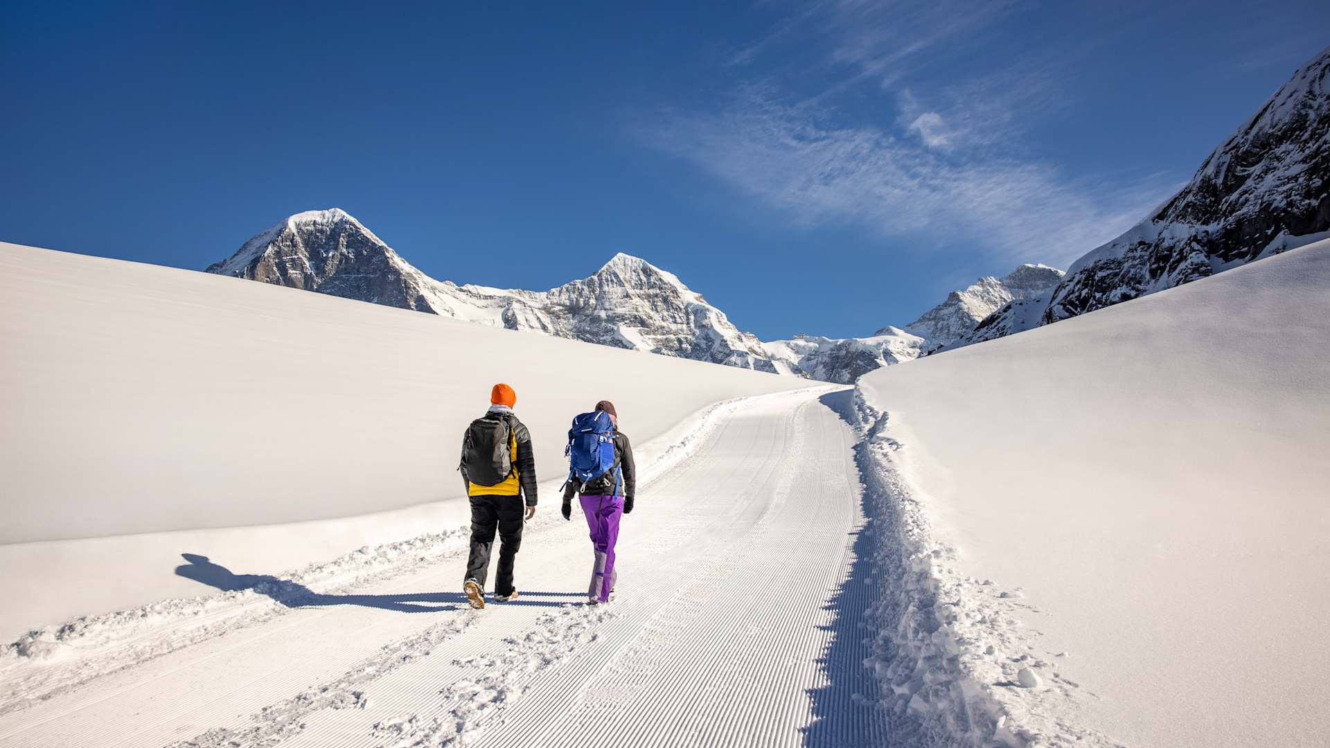 Winter Hiking and Sledging Pass
