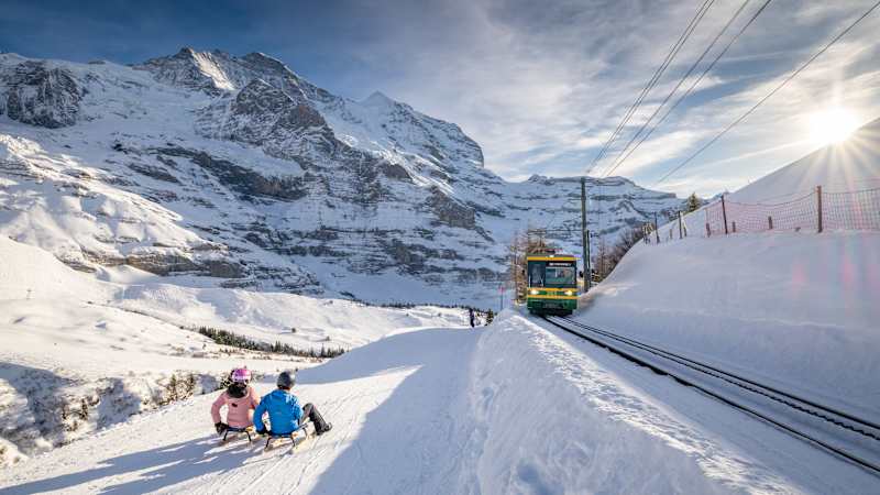 Fox Run: Tobogganing next to the Lauberhorn downhill run