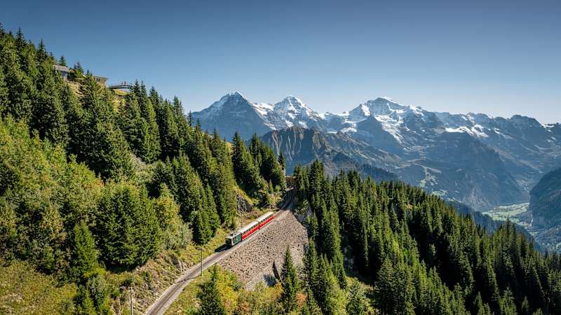 Schynige Platte