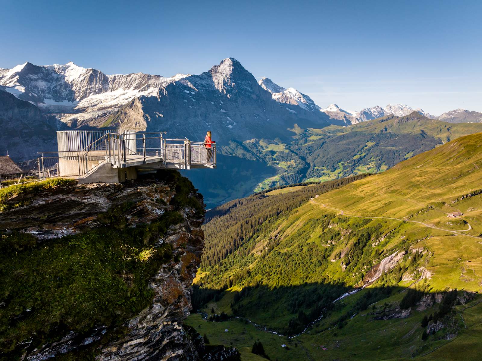 “First View” vantage platform