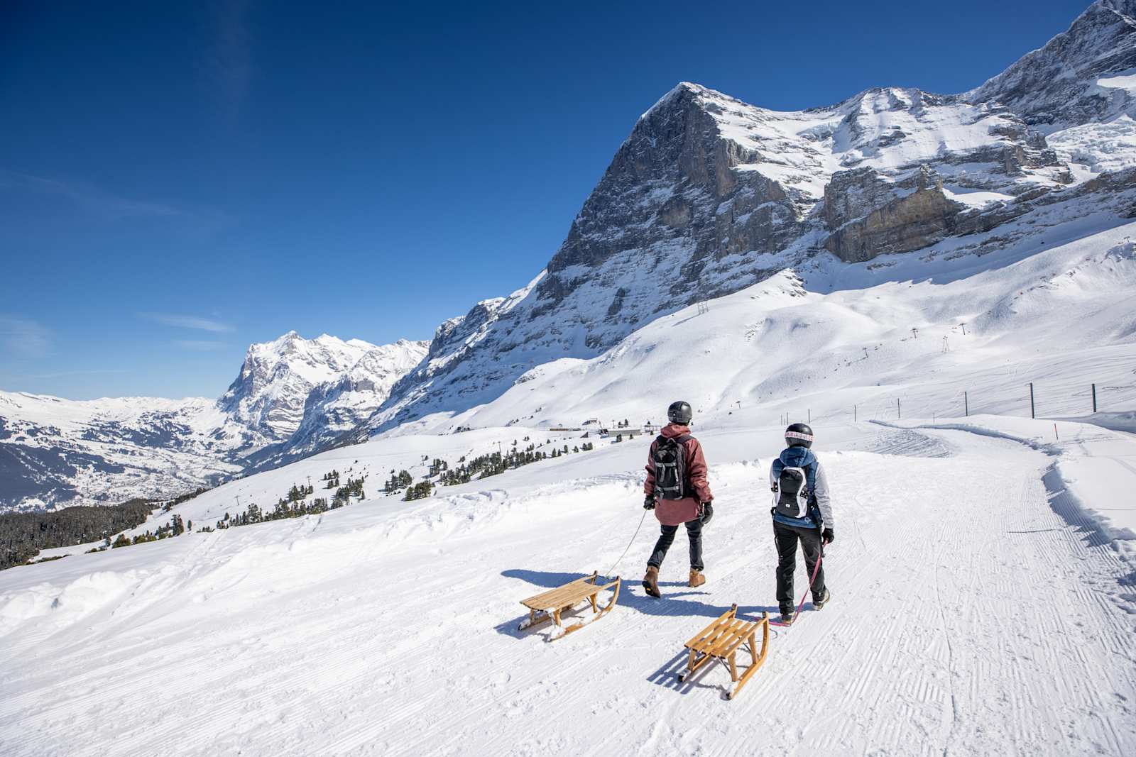 Louez maintenant une luge chez INTERSPORT Rent