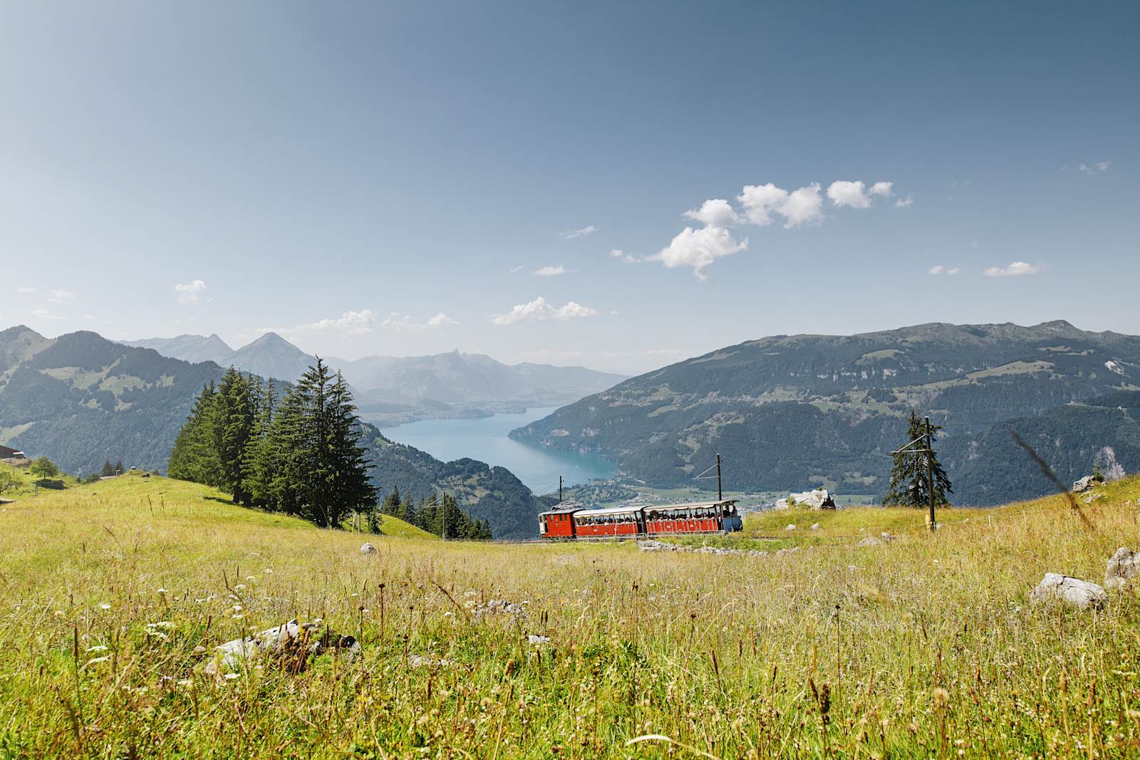 Ticket Schynige Platte-Bahn
