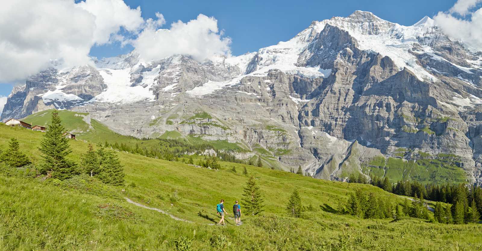 Along the downhill course – Lauberhorn Trail
