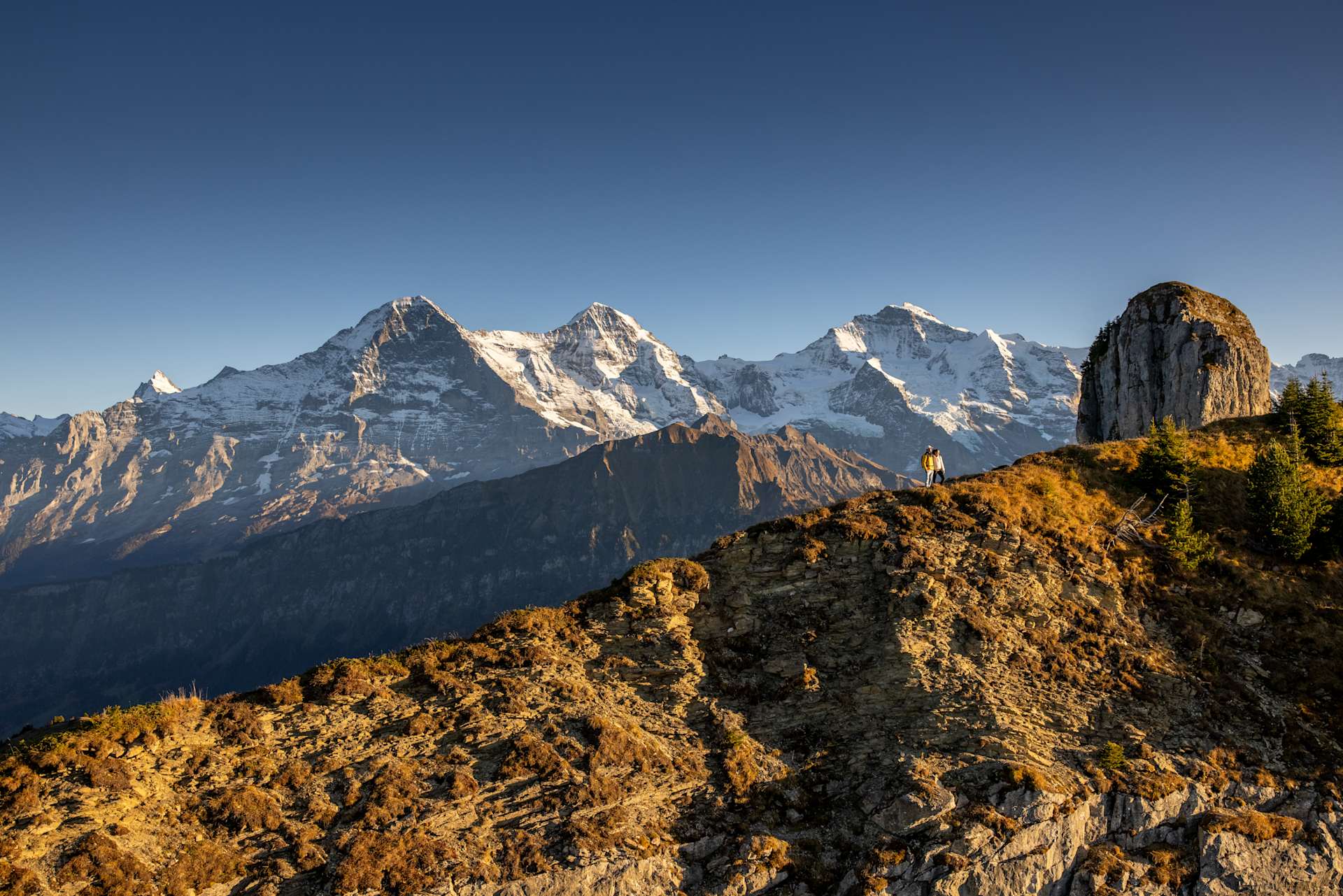 5 must-dos before winter arrives