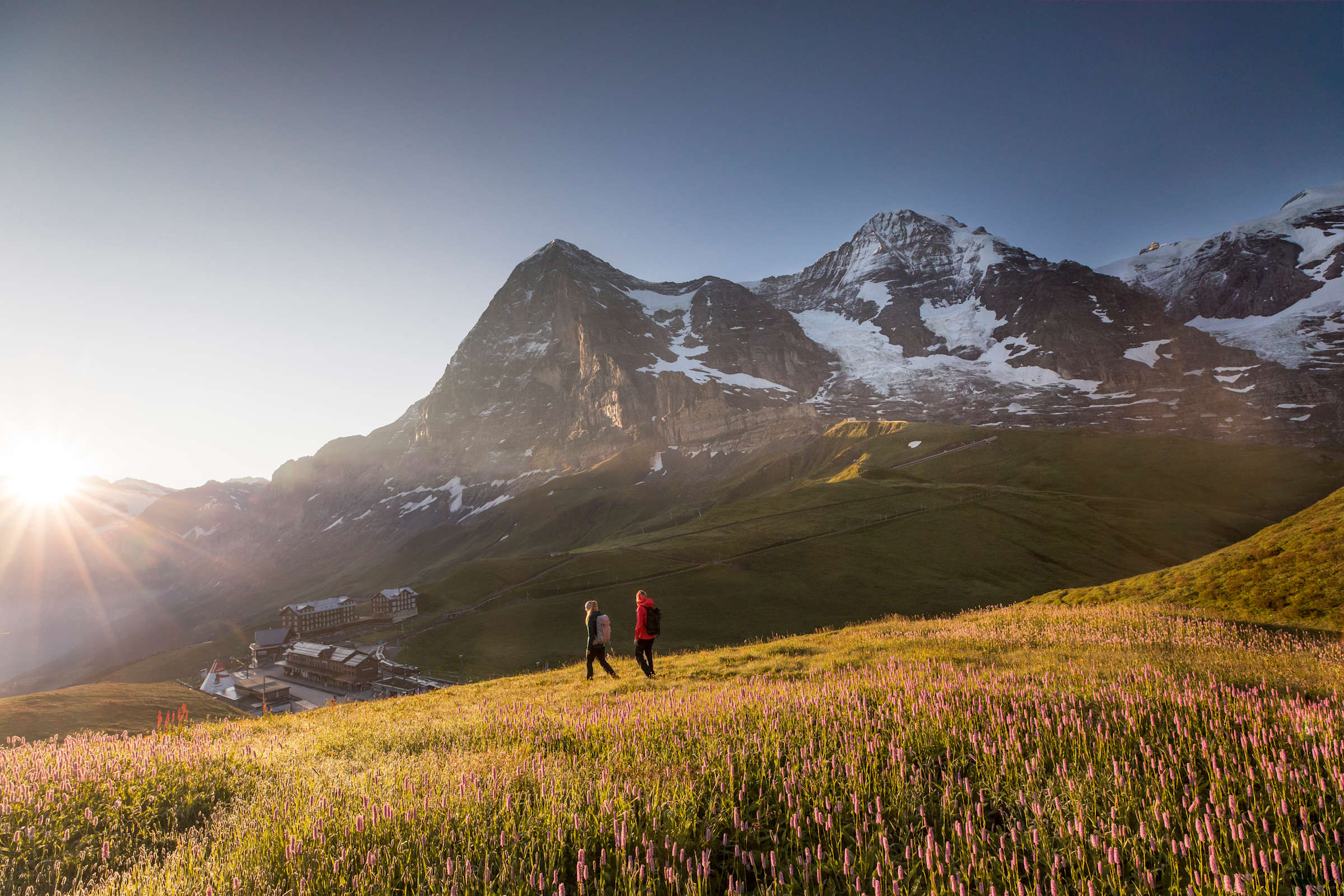 Schynige Platte Sonnenuntergang