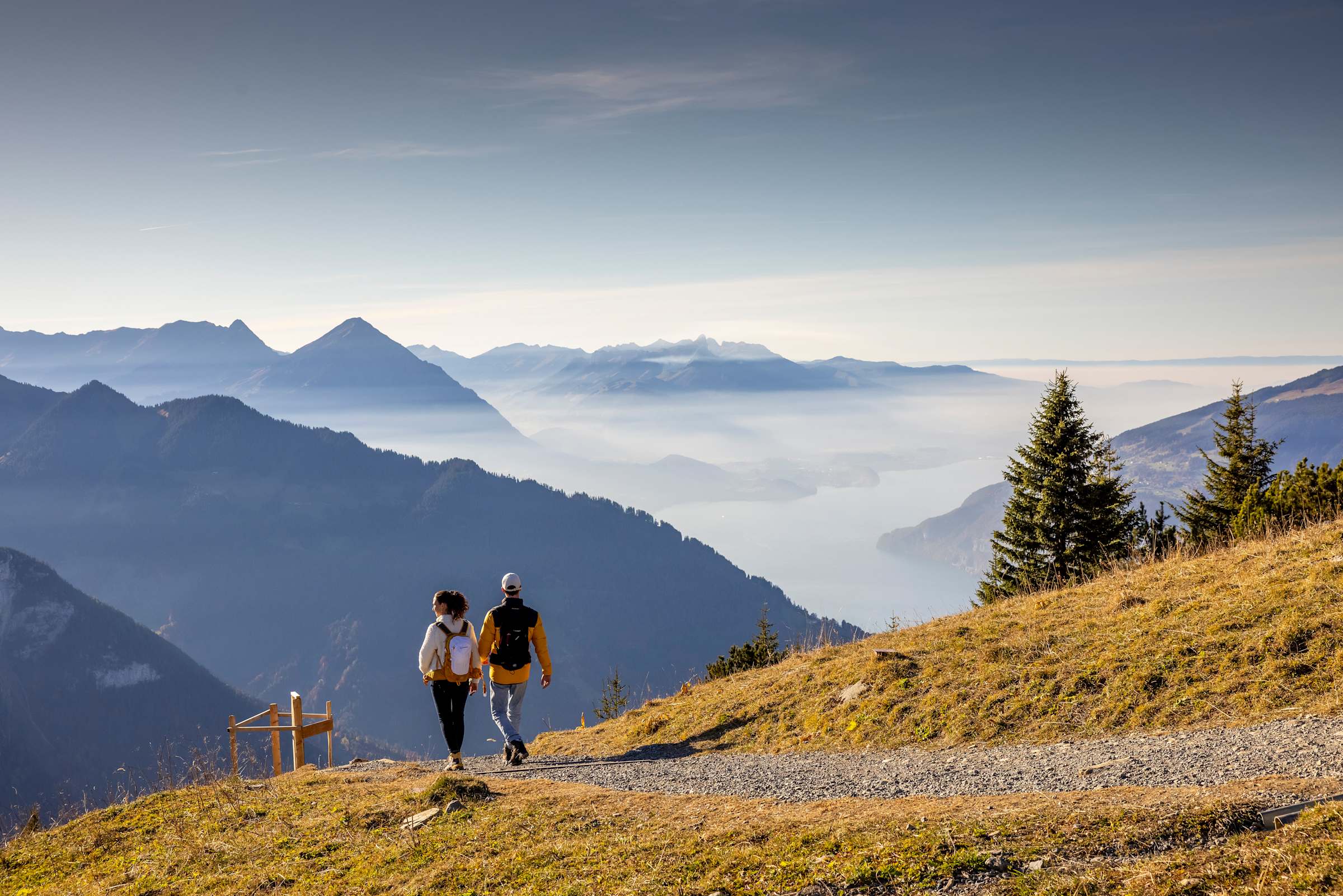 Harder Kulm Panorama Thunersee Sonnenuntergang