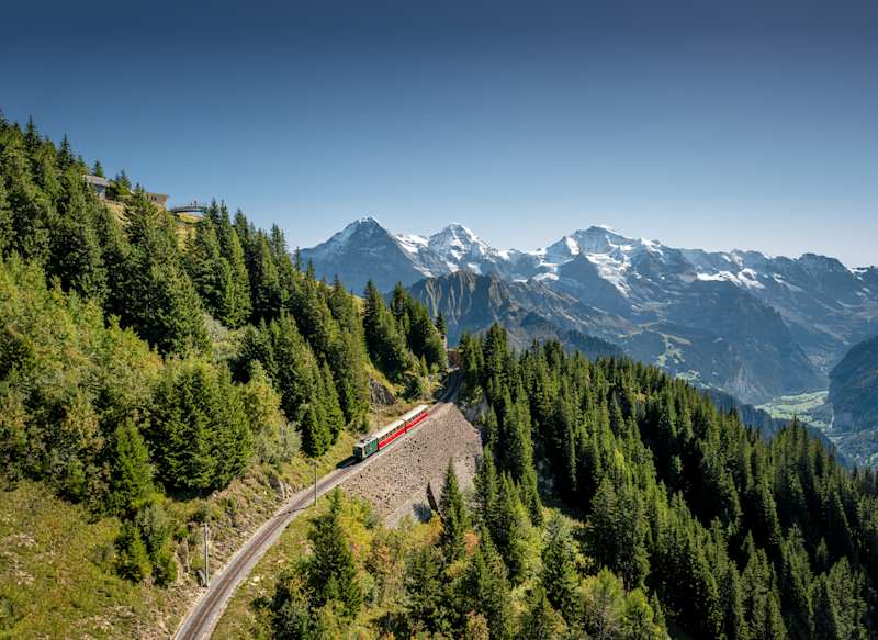 Schynige Platte