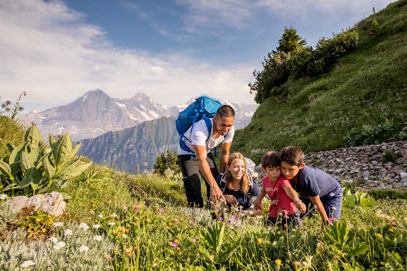 Botanischer Alpengarten