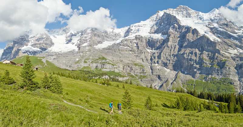 Along the downhill course – Lauberhorn Trail